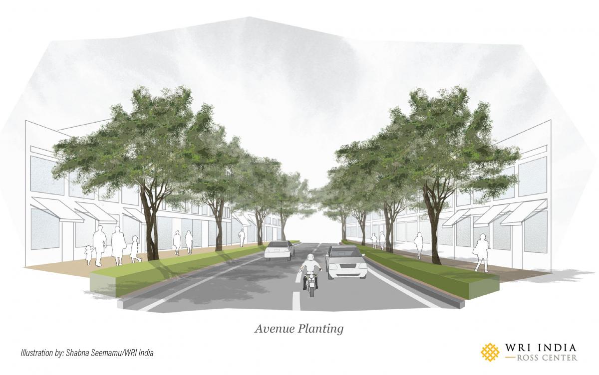 Avenue planting