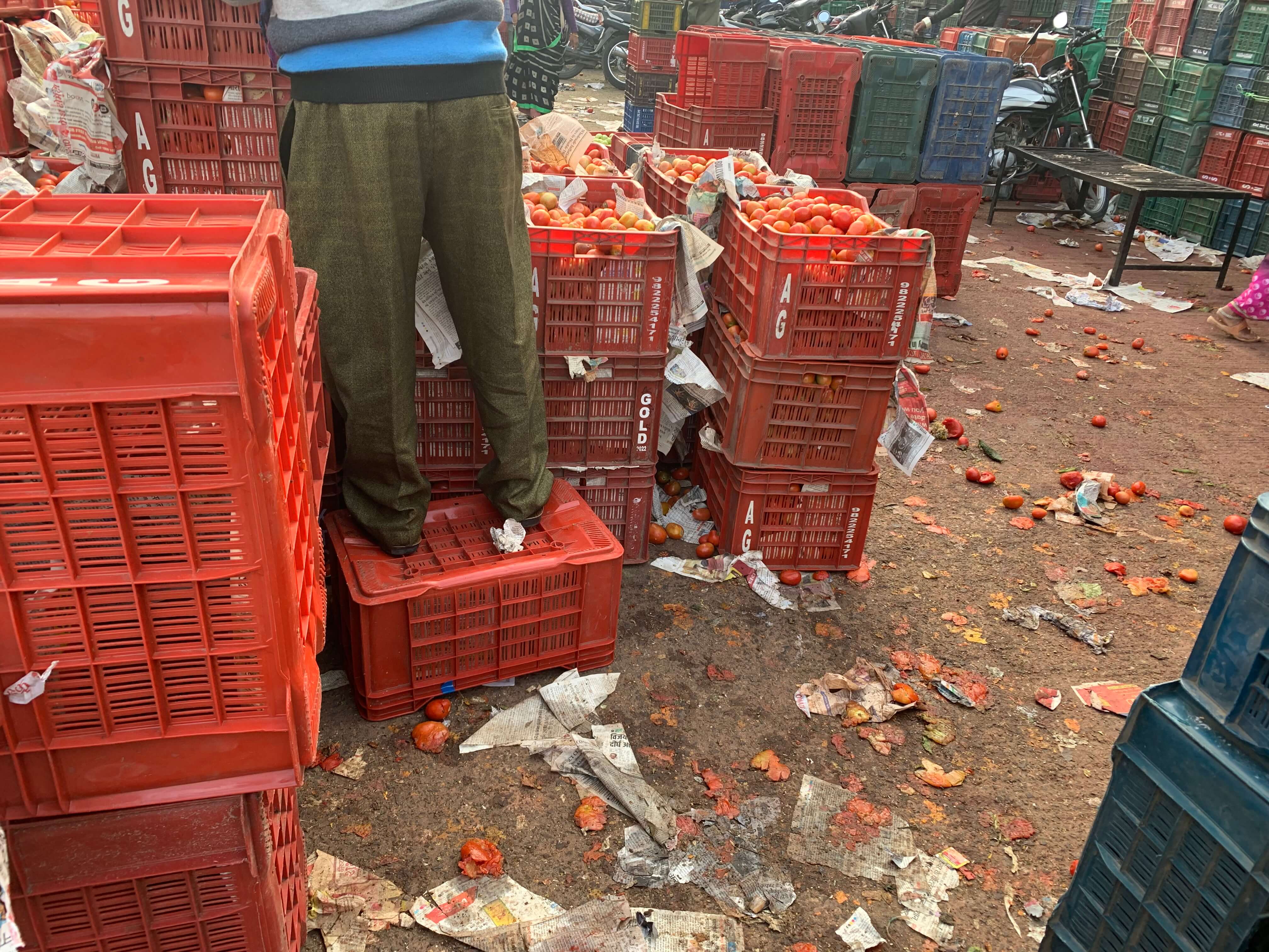 Tomato loss in mandi during sales.