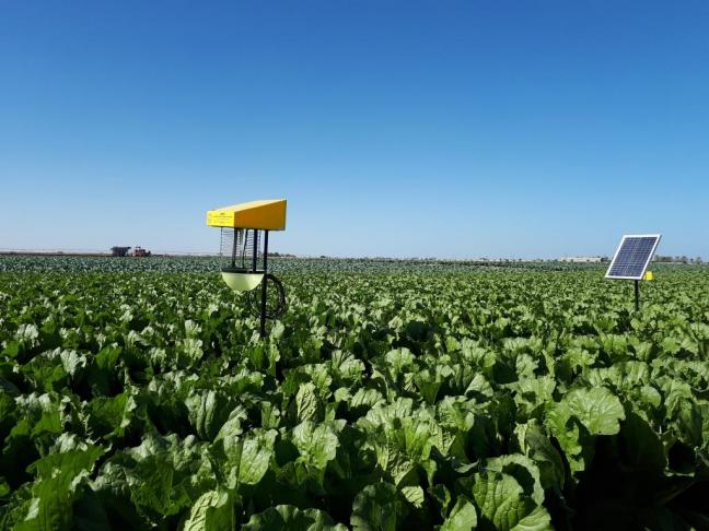 These companies take a variety of approaches to growing the restoration economy, an entire ecosystem of companies that regenerate the land and rural livelihoods