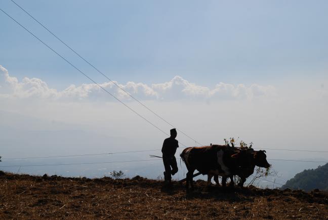India’s climate action commitment is eagerly anticipated in the world. Photo by WRI
