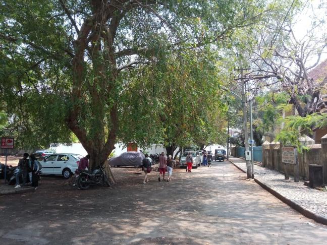 Urban green spaces can help maintain micro-climate conditions and improve thermal comfort by lowering the urban heat island effect. Photo by Pulakesh Das/WRI India Urban green spaces can help maintain micro-climate conditions and improve thermal comfort by lowering the urban heat island effect.