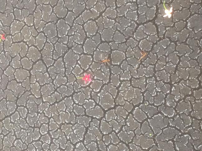 Photo credit: Kristina Egge