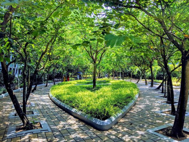 Planting trees is the easiest means to preserve and restore natural capital at scale. Photo by: Vishnu Prasad/unsplash Planting trees is the easiest means to preserve and restore natural capital at scale. Photo by: Vishnu Prasad/unsplash