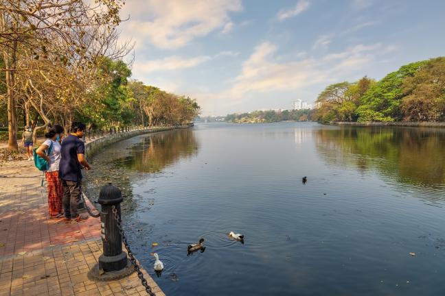 NBS is emerging where innovative business models and inclusive governance practices have leveraged public investment and successfully gained private sector support. Photo by Roop Dey/Shutterstock