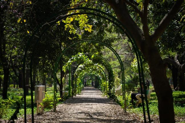 Cubbon Park, Bangalore. Photo by Pasqualino Capobianco/Unsplash.