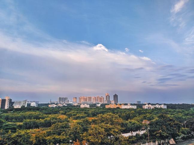 NbS can help address climate risks and contribute to mitigation and adaptation efforts