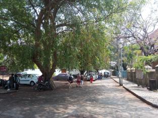 Urban green spaces can help maintain micro-climate conditions and improve thermal comfort by lowering the urban heat island effect.