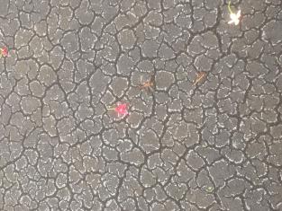 Photo credit: Kristina Egge