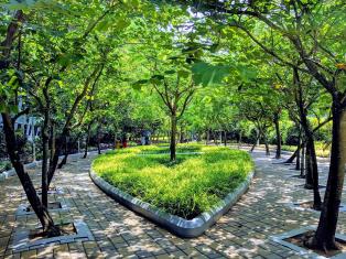 Planting trees is the easiest means to preserve and restore natural capital at scale. Photo by: Vishnu Prasad/unsplash