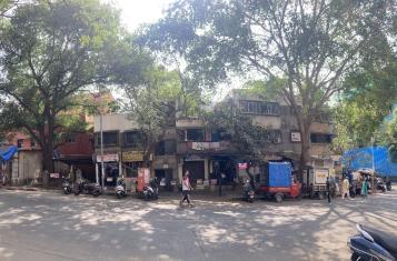 Old tamarind tree besides the author’s ancestral plot