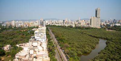 Arial view of roads and mangroves in Mumbai. Photo by Parikh Mahendra N/Shutterstock. Arial view of roads and mangroves in Mumbai. Photo by Parikh Mahendra N/Shutterstock.