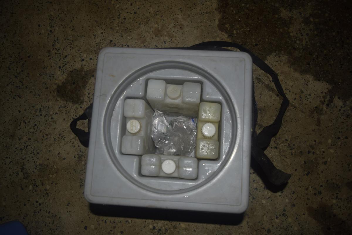 Ice box for storage of medicines and vaccines